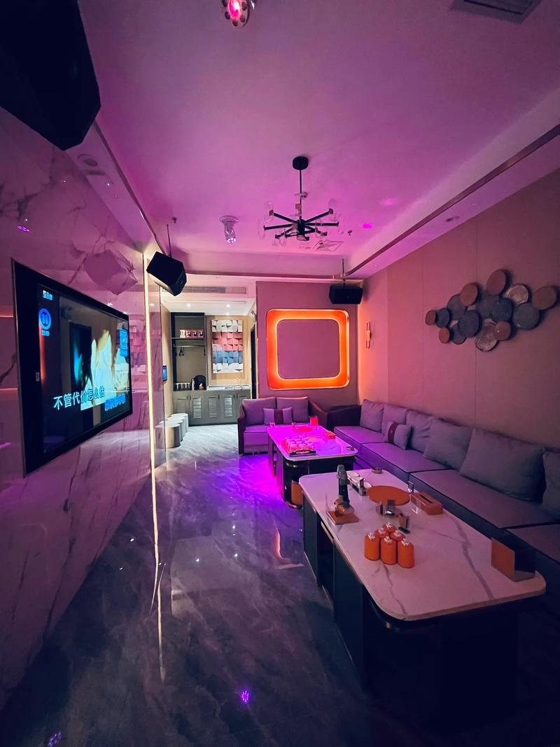 杭州商务KTV，尽情体验商务KTV怎么玩-淳安县ktv预订